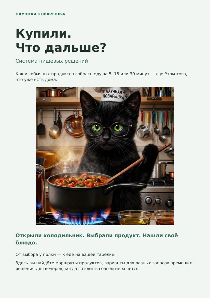 Обложка гайда «Купили. Что дальше?» с чёрным котом Научной поварёшки